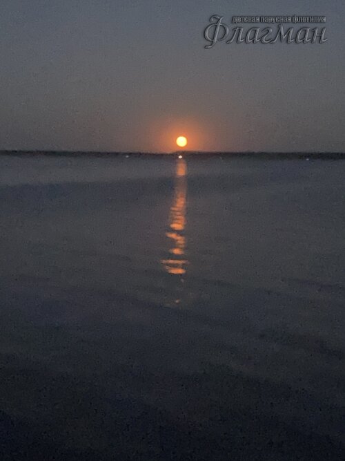 105C45CD-0996-445F-BF35-6833B9915CD1